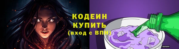 гидра Надым