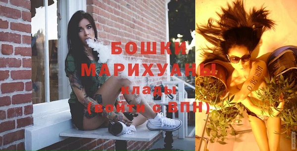 гидра Надым