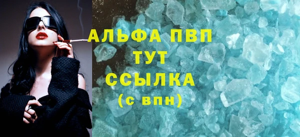 гидра Надым