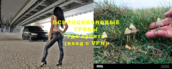 PSILOCYBIN Нефтекумск
